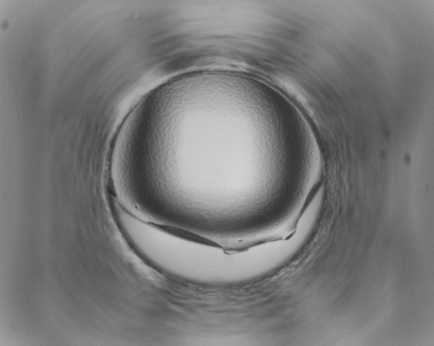 X0000088621379200706081510