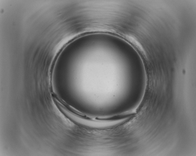 X0000088621380200706081510
