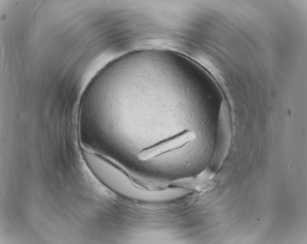 X0000088621392200706081510