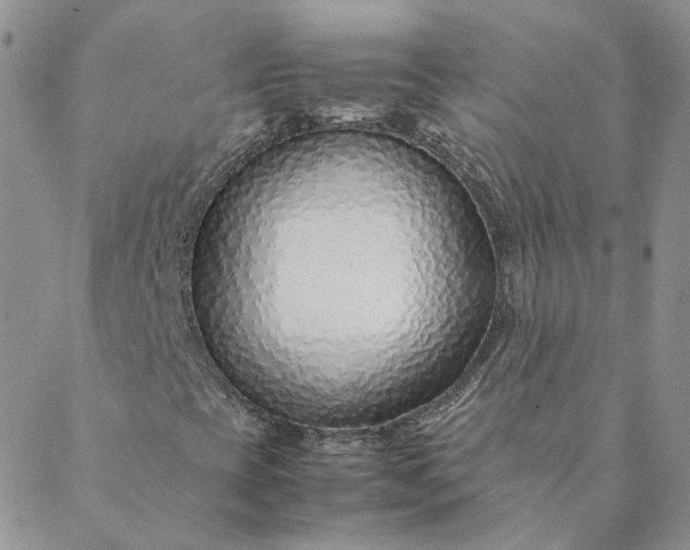 X0000088621393200706081509