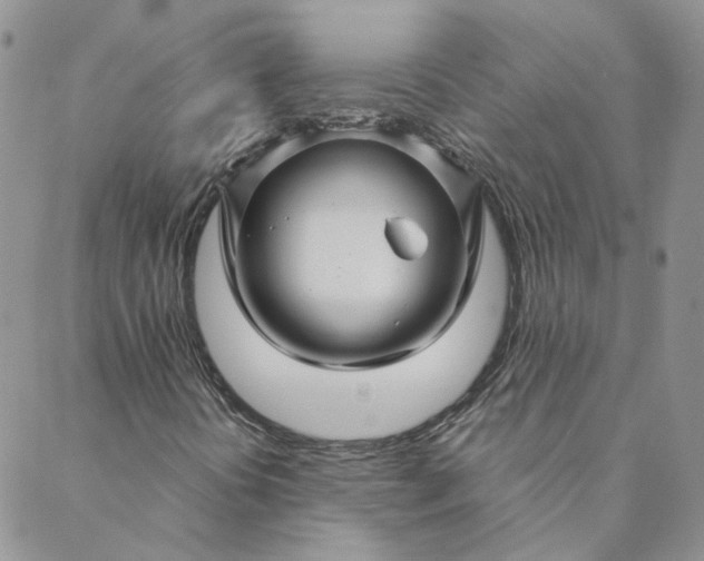 X0000088621394200706081509