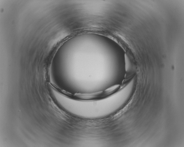 X0000088621402200706081509