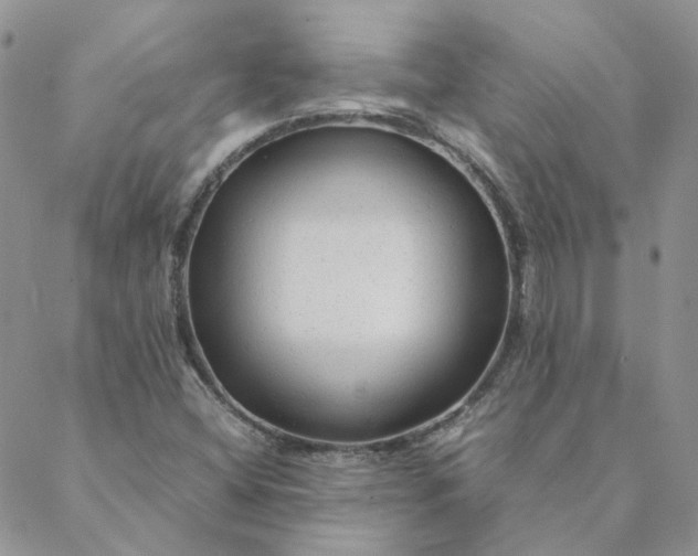 X0000088621404200706081510