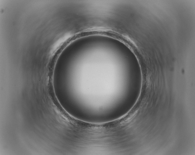 X0000088621406200706081510