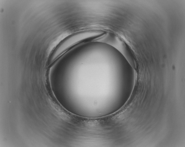 X0000088621410200706081510