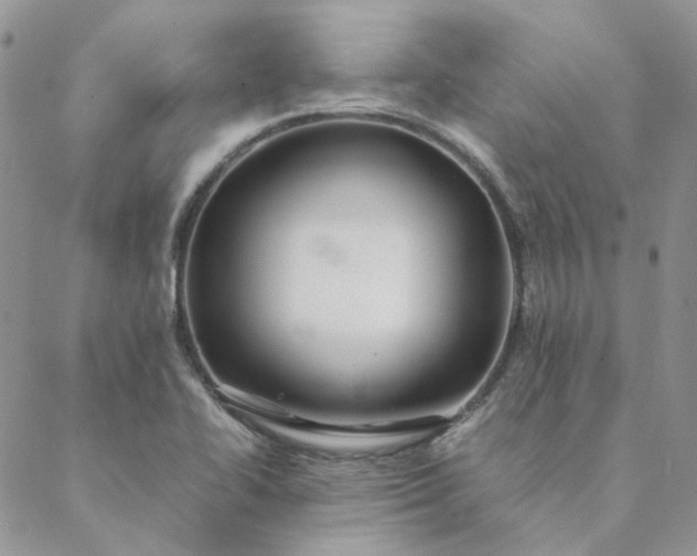 X0000088621414200706081510