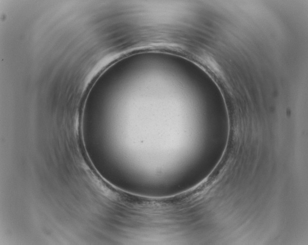 X0000088621420200706081510