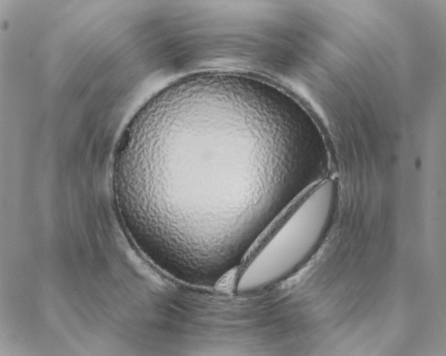 X0000088621421200706081510