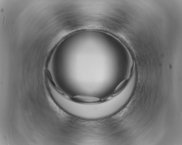 X0000088621422200706081510