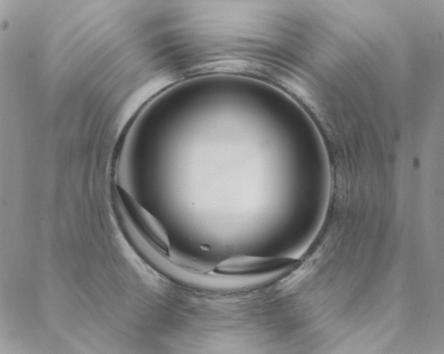 X0000088621426200706081510