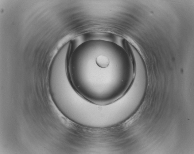 X0000088621434200706081510