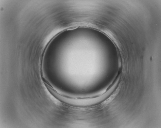 X0000088621438200706081510