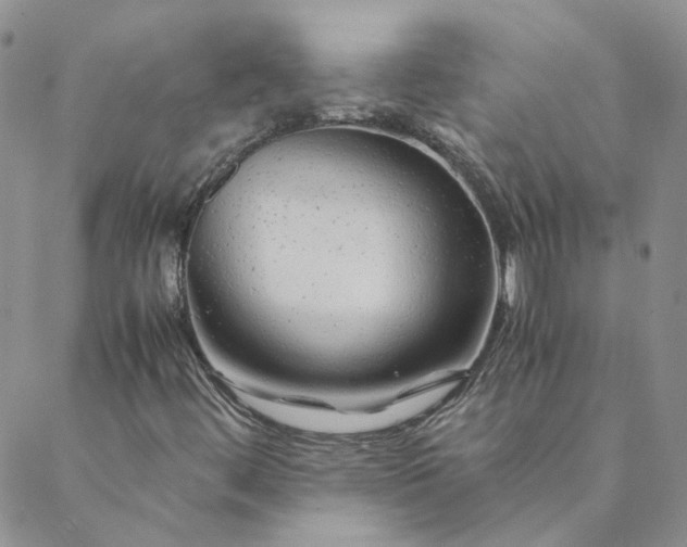X0000088621444200706081509