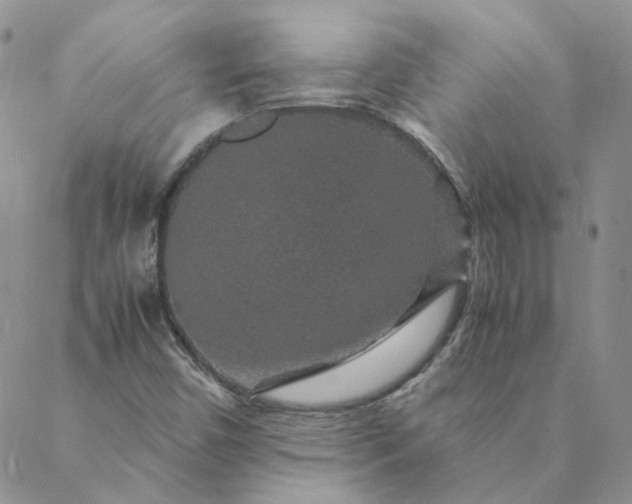 X0000088621450200706081509