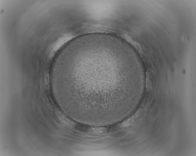 X0000088621453200706081509
