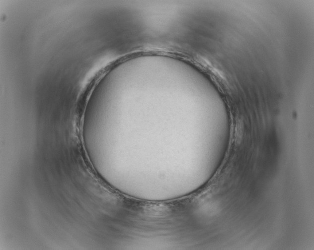 X0000088621454200706081509