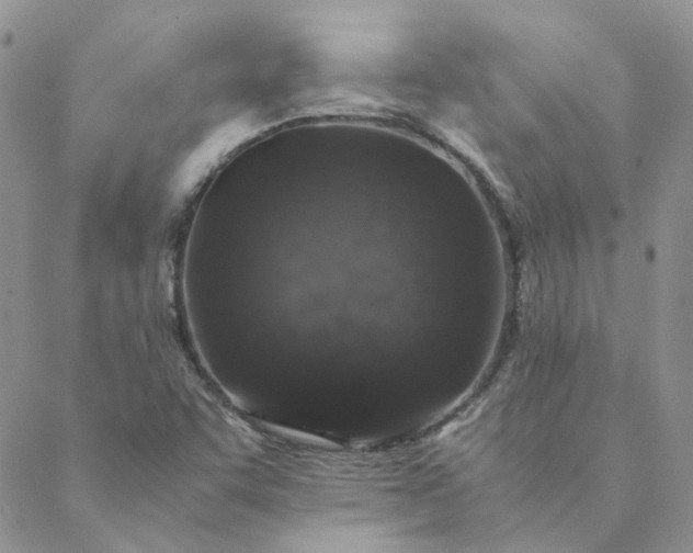 X0000088621455200706081509
