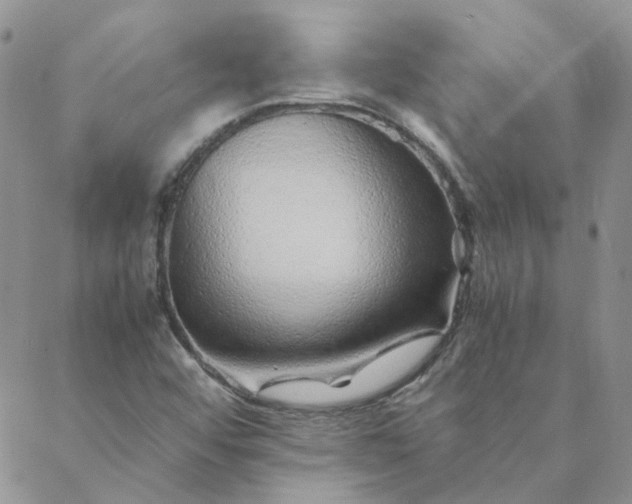 X0000088621456200706081509