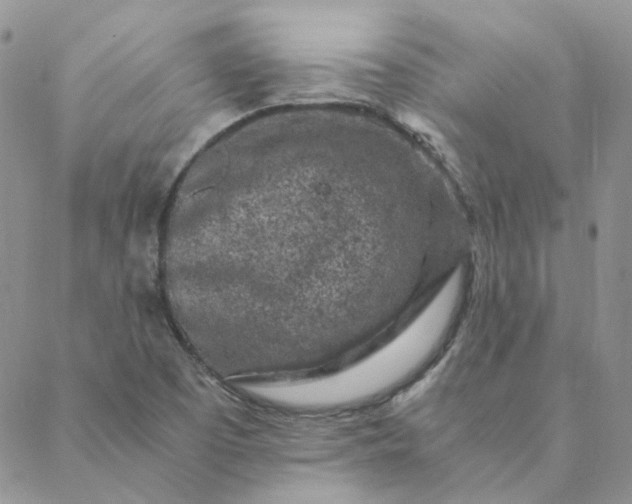 X0000088621457200706081509