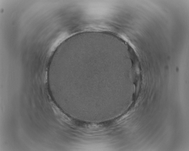 X0000088621459200706081509