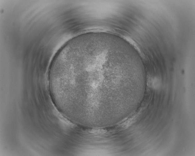X0000088621466200706081509