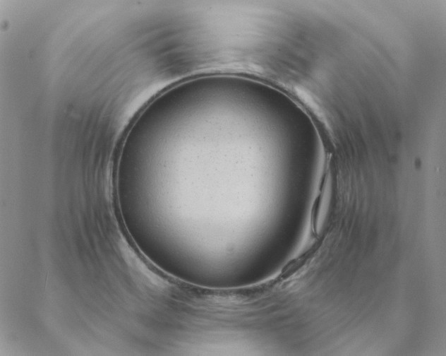 X0000088621468200706081509