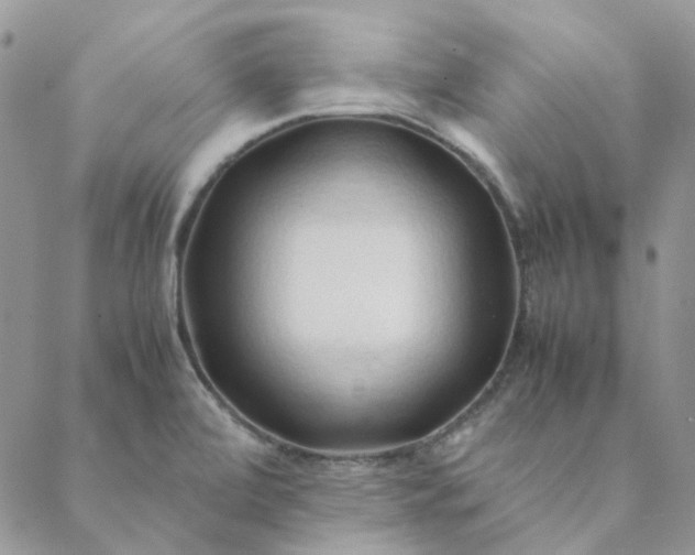 X0000088621472200706081509