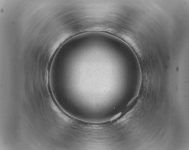 X0000088621476200706081509