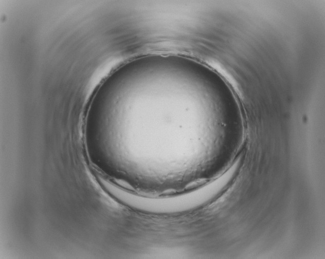X0000088621477200706081509