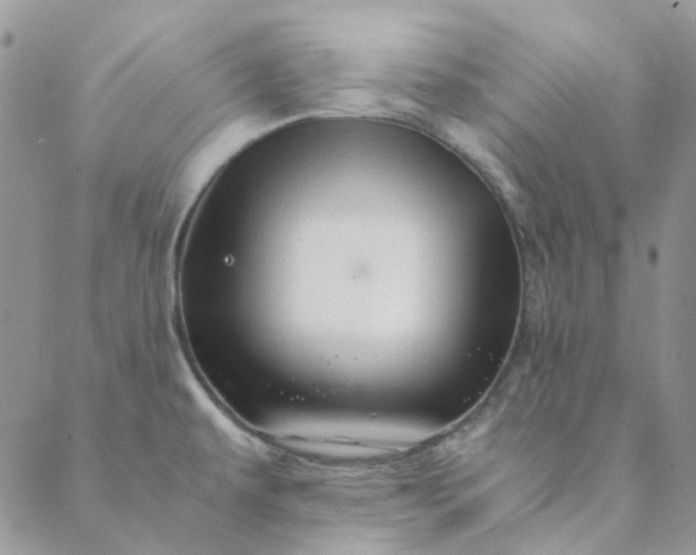 X0000088621479200706081509