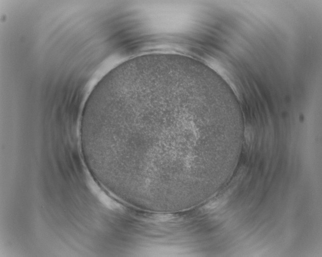 X0000088621482200706081509