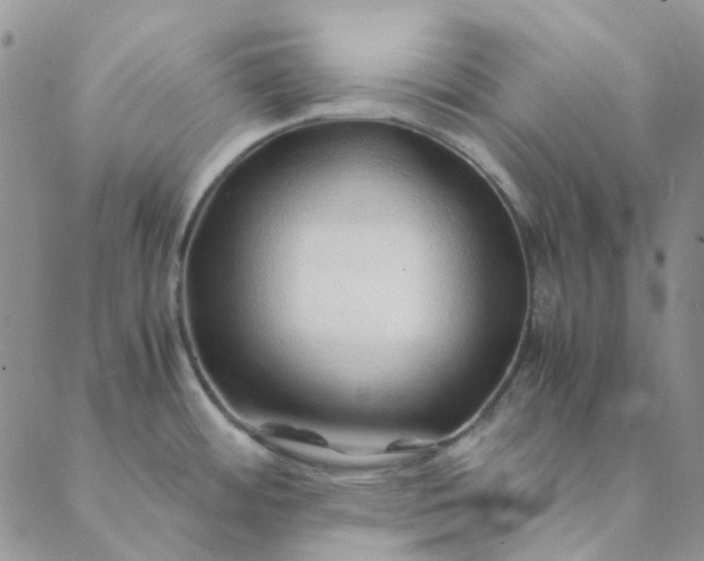 X0000088621484200706081509