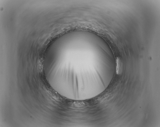 X0000088621491200706081508