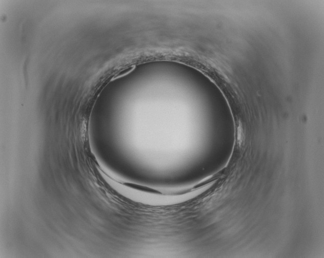 X0000088621492200706081508