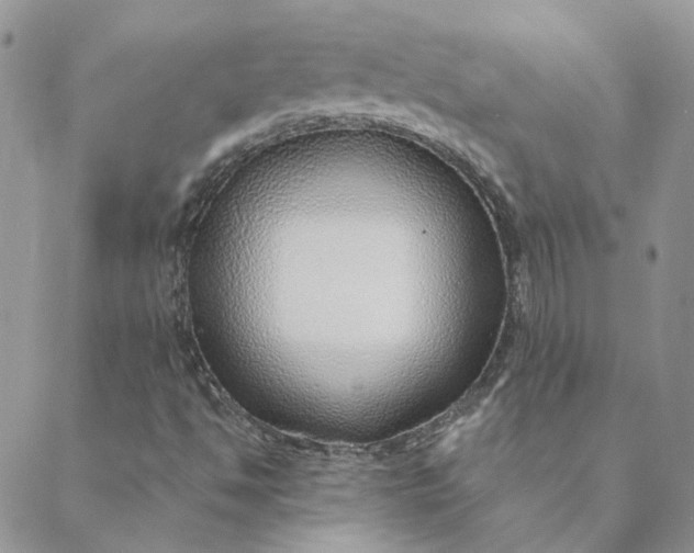 X0000088621494200706081508