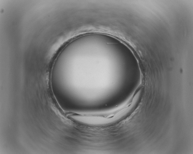 X0000088621503200706081508