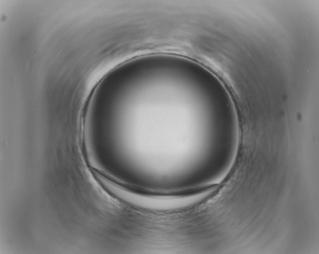 X0000088621520200706081508