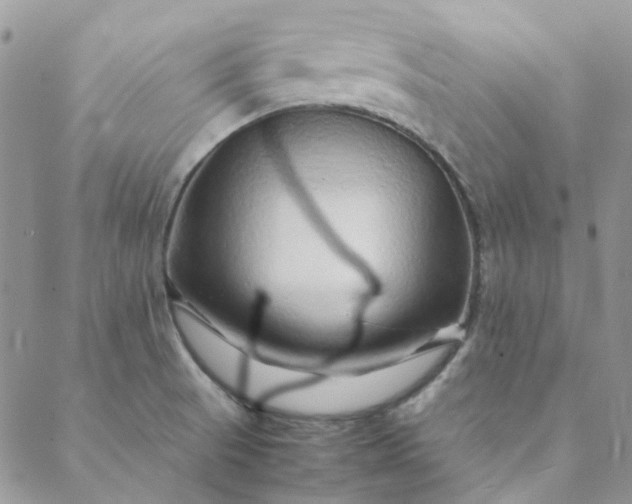 X0000088621521200706081508