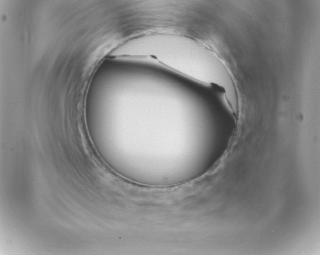 X0000088620001200706151904