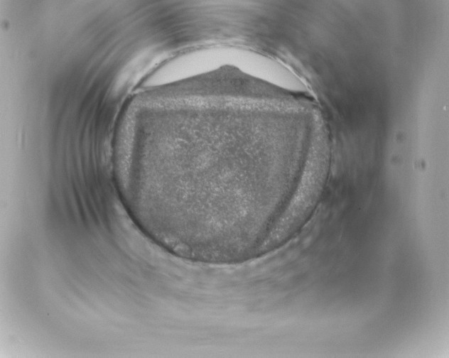 X0000088620002200706151904