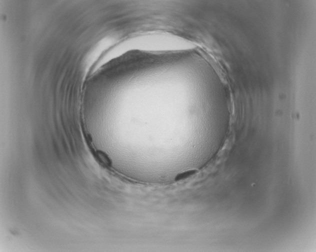 X0000088620003200706151904