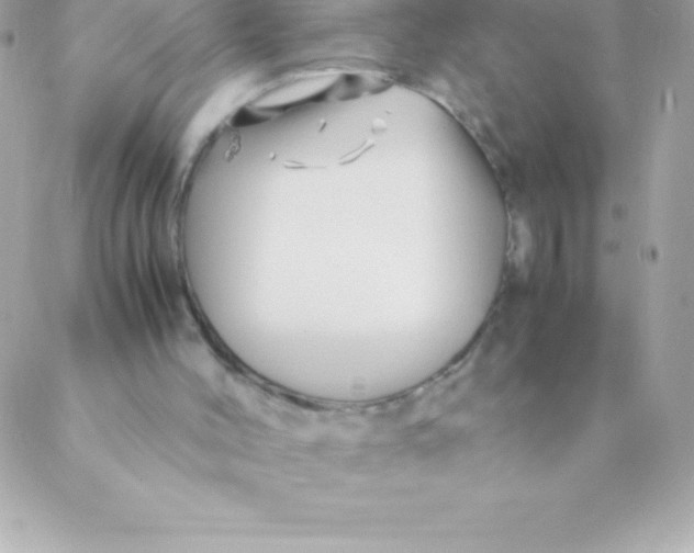 X0000088620004200706151904