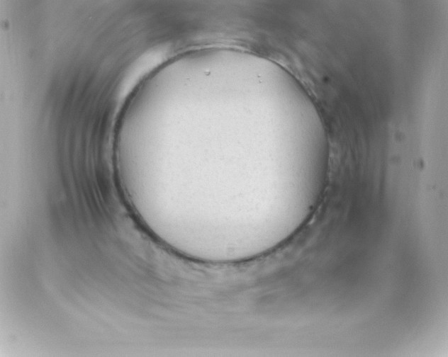 X0000088620006200706151904