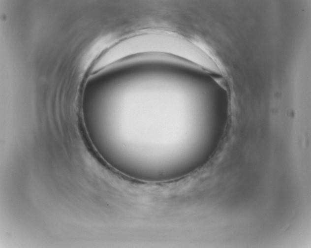 X0000088620007200706151904