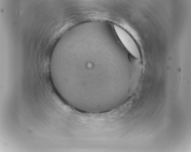 X0000088620009200706151904