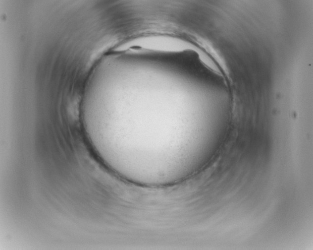 X0000088620010200706151904