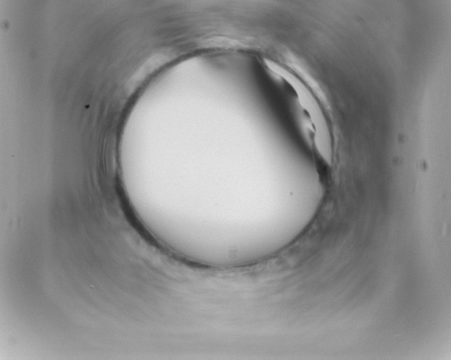 X0000088620011200706151904