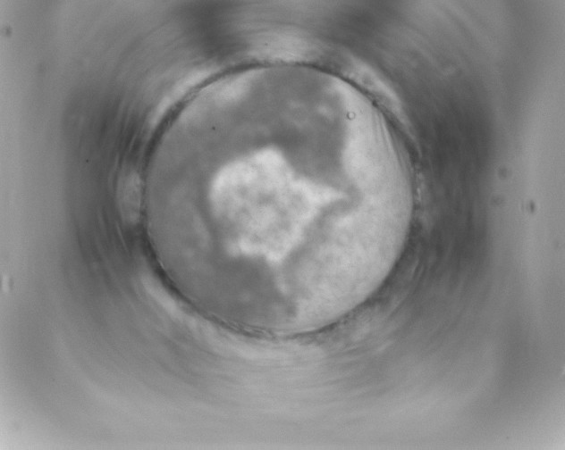 X0000088620012200706151903