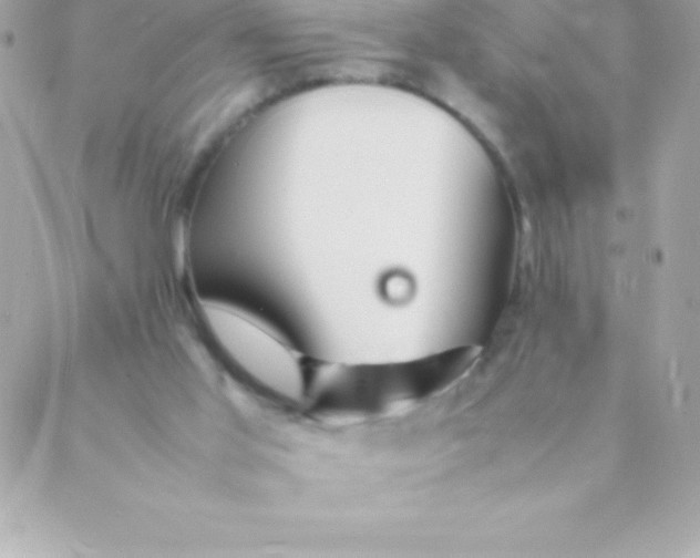 X0000088620013200706151903