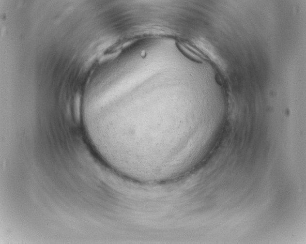 X0000088620014200706151903